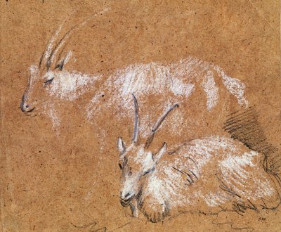 Studio di capre da Thomas Gainsborough